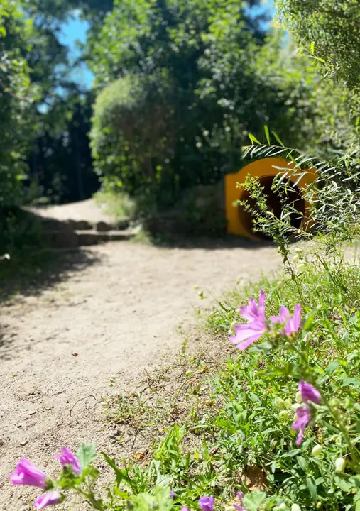 Garten: Tunnel und Weg zum Sportplatz